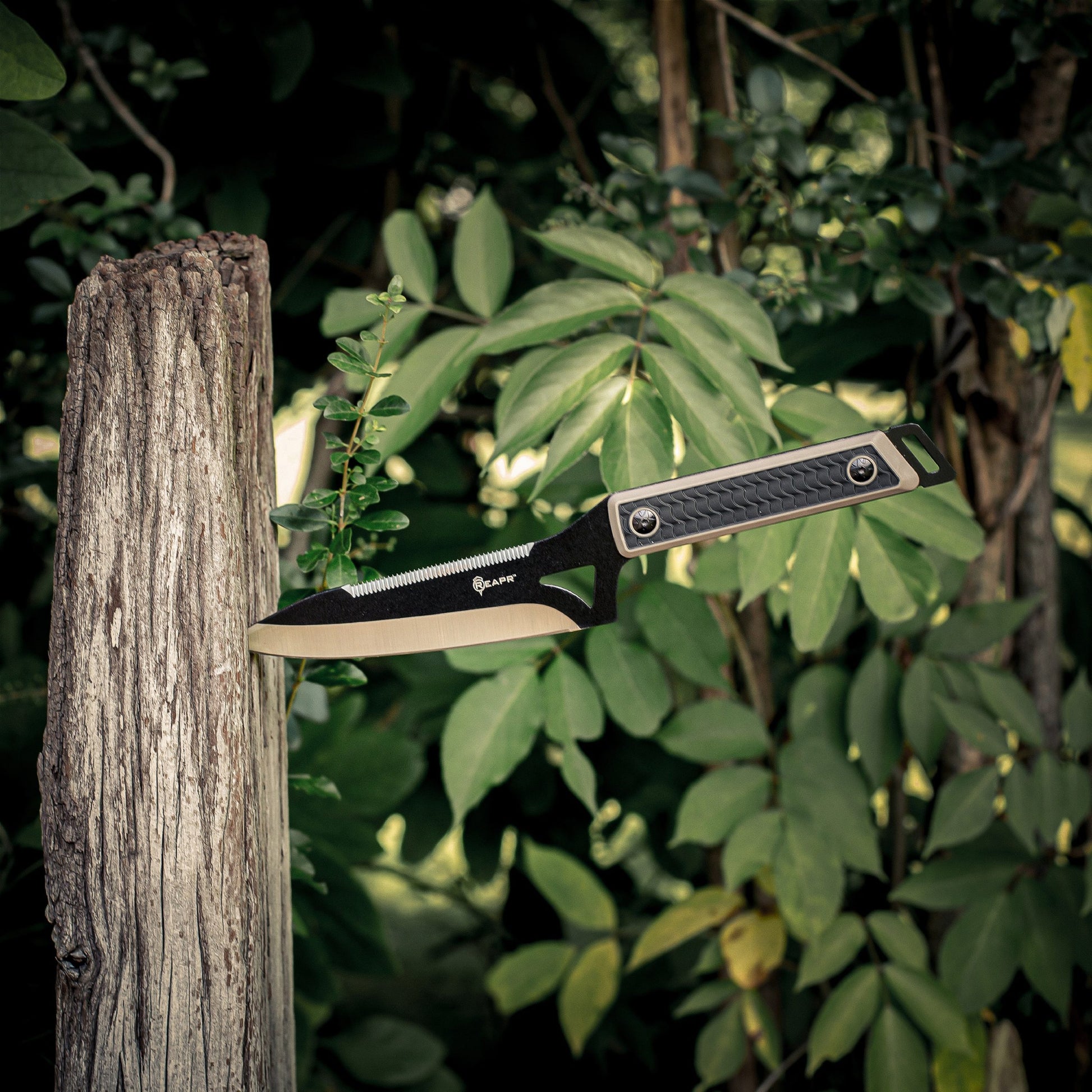 You get everything you need with the Reapr Versa Camp Knife. Born in the kitchen but raised in the wild, it’s tough, durable, and versatile. Whatever your campsite cutting needs, this knife can handle it. www.defenceqstore.com.au