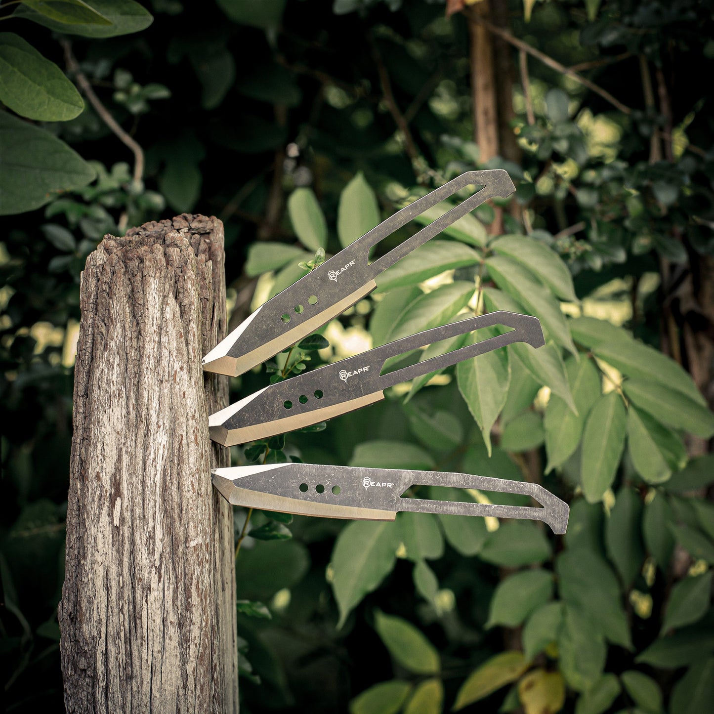 Hit the bullseye every time with these perfectly-balanced throwers. The Reapr 3 Piece Chuk Knives set is ideal for camping, parties, barbecues, and other outdoor activities. www.defenceqstore.com.au