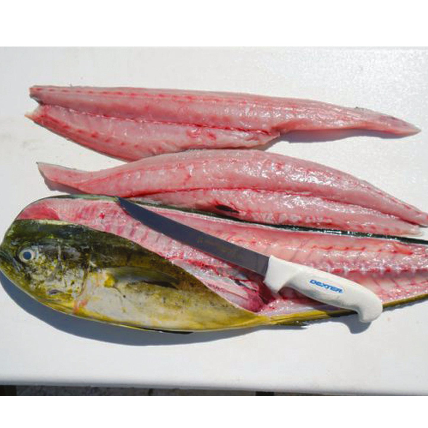 The Dexter SG138EG 8” wide fillet knife makes filleting and skinning your fish easy. It’s ultra-sharp out of the package with a wide, stiff blade to glide over the bones. www.defenceqstore.com.au