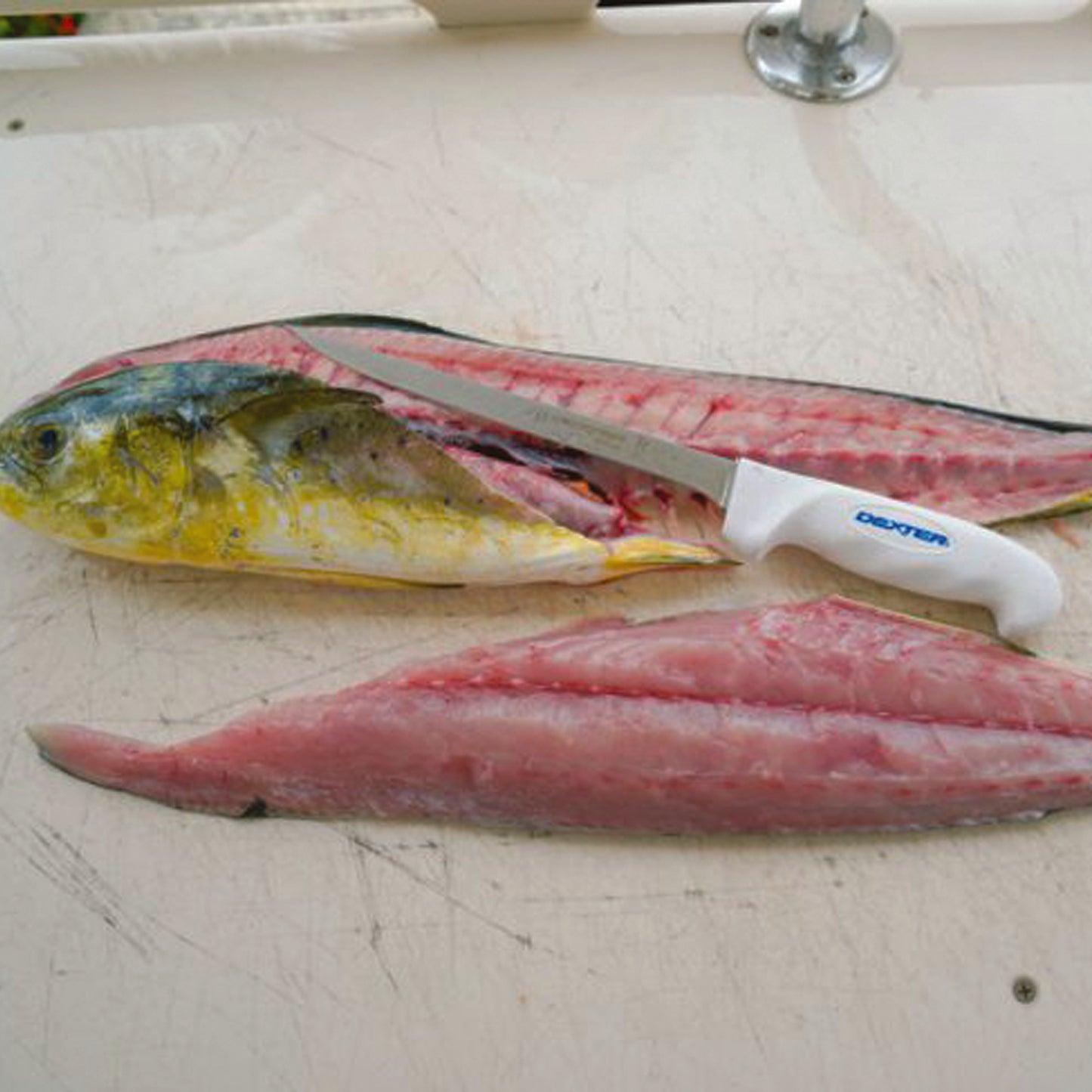 The Dexter SG133-8EG 8” narrow fillet knife is one of our most popular fillet knives. This 8″ fillet can handle most fish with ease. It’s ultra-sharp out of the package and with just the right amount of flex to glide over the bones. www.defenceqstore.com.au