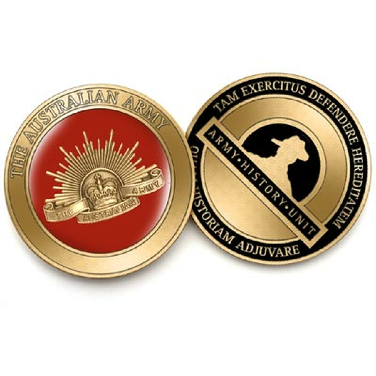 Army History Unit Medallion